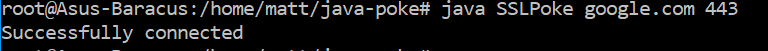 Connecting successfully to google.com with SSL Poke